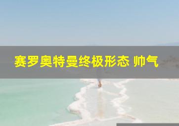 赛罗奥特曼终极形态 帅气